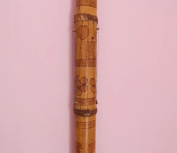 Sinistaj Πανσιόν